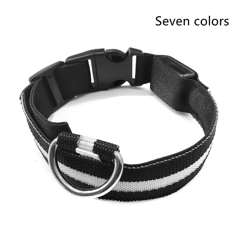 Glowing LED Pet Collar – Adjustable Night Safety Collar