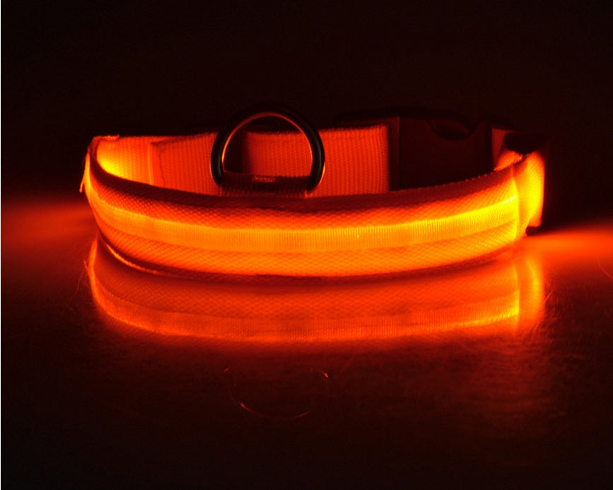 Glowing LED Pet Collar – Adjustable Night Safety Collar
