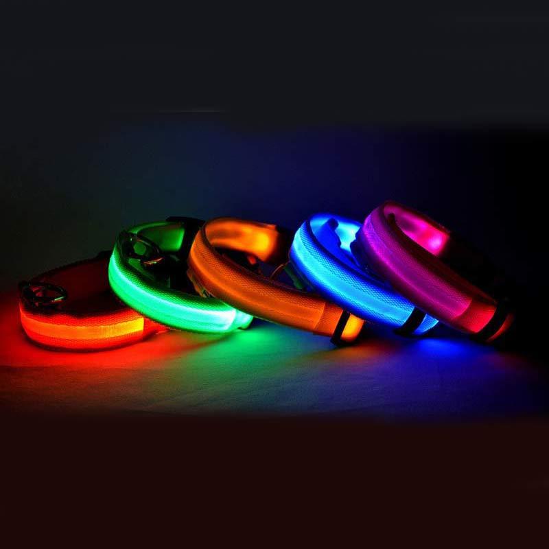 Glowing LED Pet Collar – Adjustable Night Safety Collar