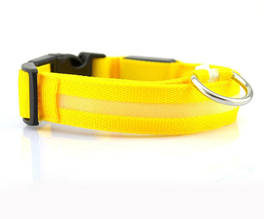 Glowing LED Pet Collar – Adjustable Night Safety Collar