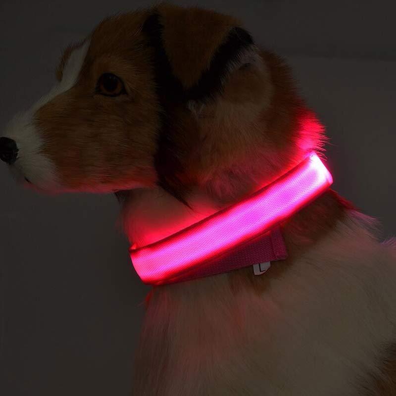 Glowing LED Pet Collar – Adjustable Night Safety Collar