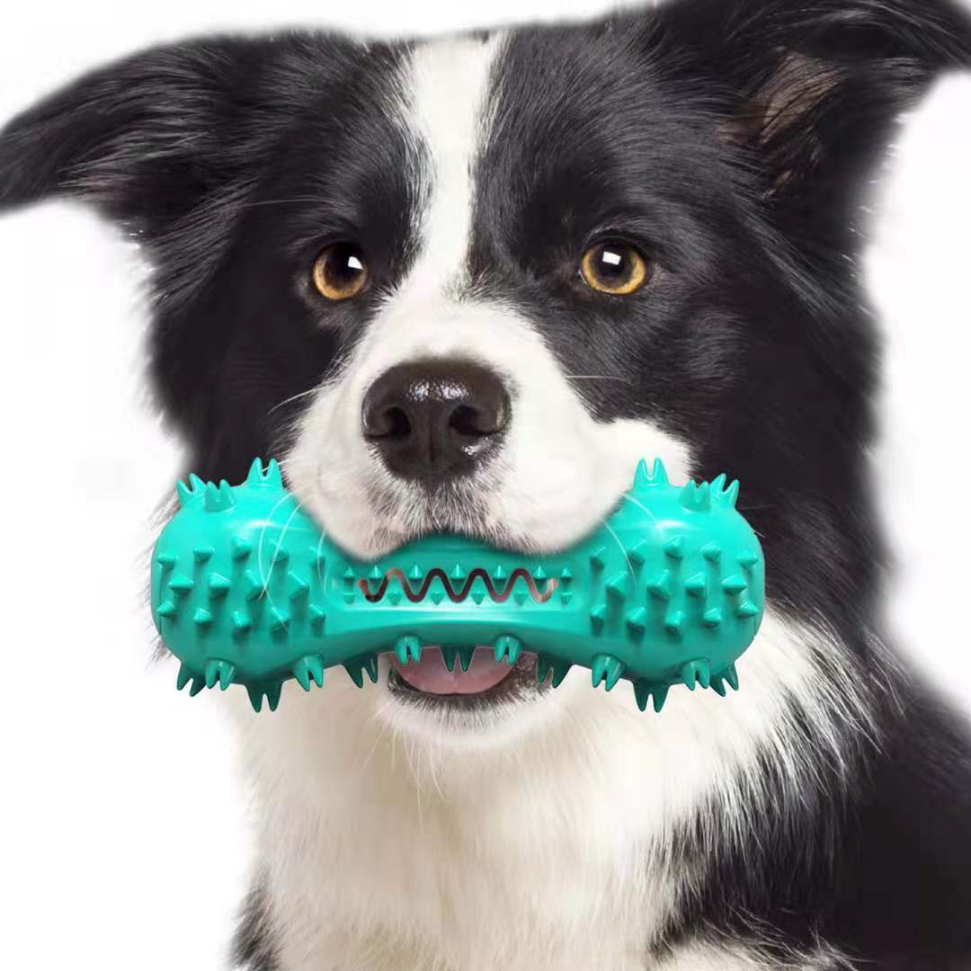 Durable Dog Chew Toy – Rubber Molar Stick for Dental Cleaning