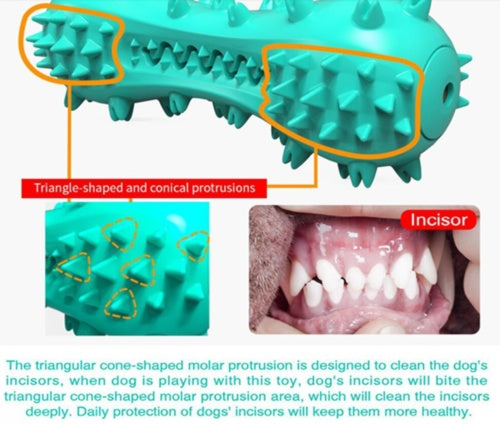 Durable Dog Chew Toy – Rubber Molar Stick for Dental Cleaning