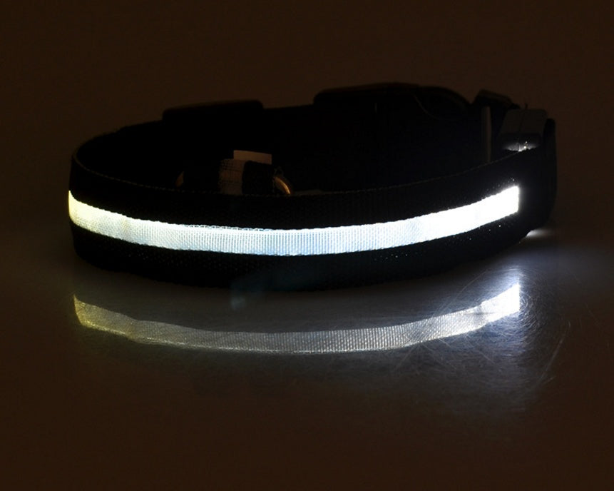 Glowing LED Pet Collar – Adjustable Night Safety Collar