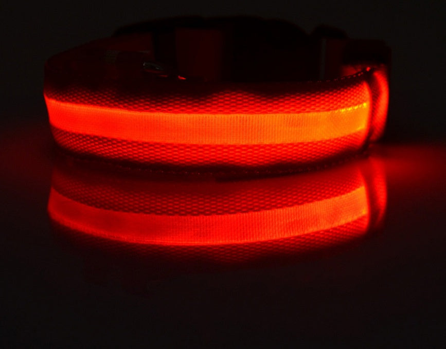Glowing LED Pet Collar – Adjustable Night Safety Collar