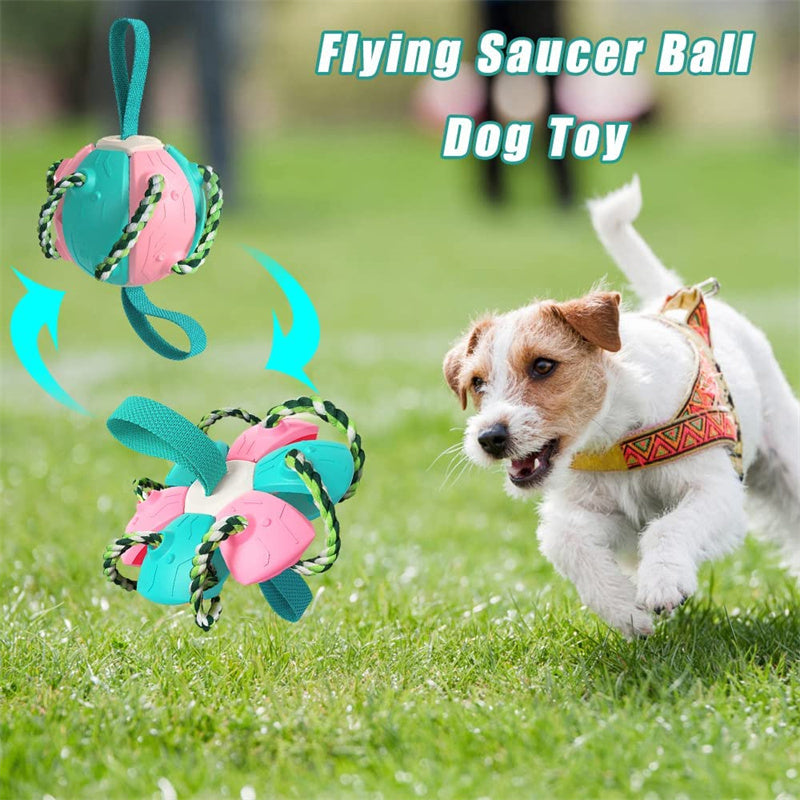 Interactive Dog Soccer Ball – Training & Play Toy for Outdoor Fun