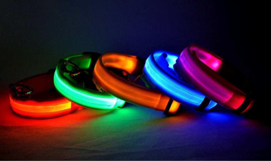 Glowing LED Pet Collar – Adjustable Night Safety Collar