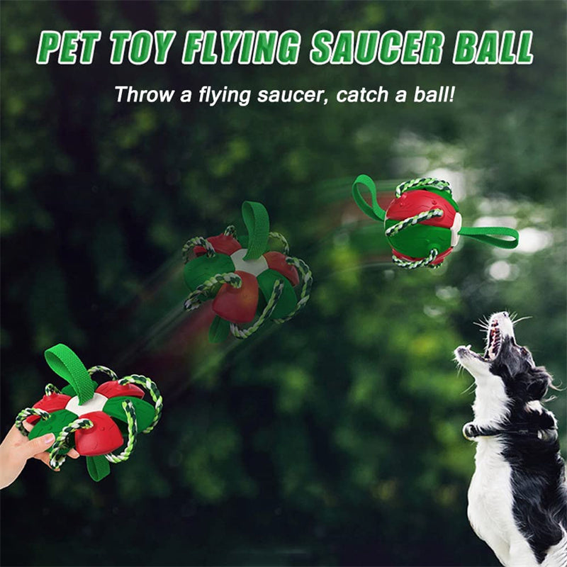 Interactive Dog Soccer Ball – Training & Play Toy for Outdoor Fun