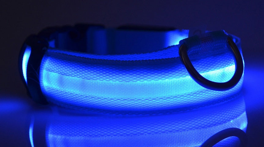 Glowing LED Pet Collar – Adjustable Night Safety Collar