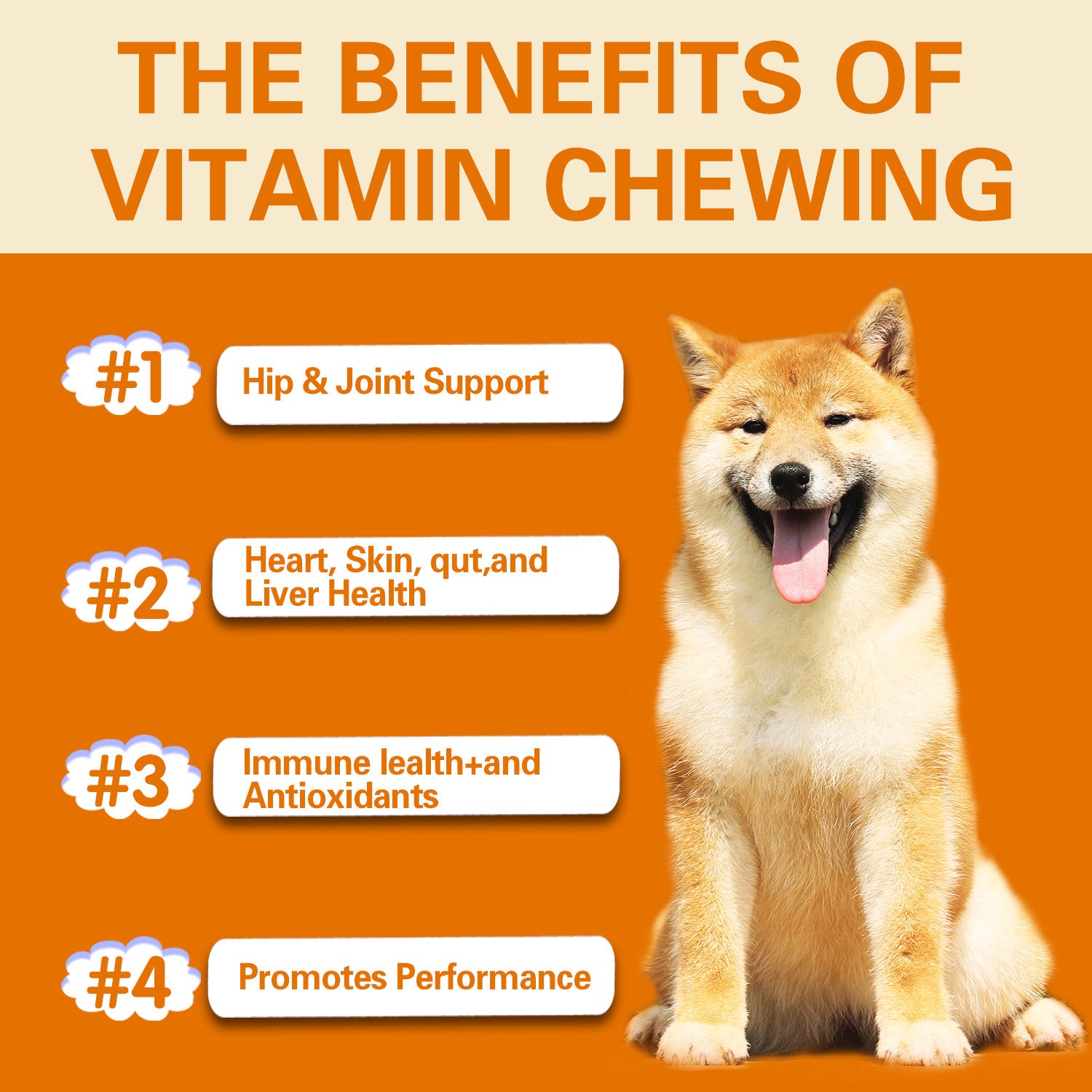 Pet Vitamin Multifunctional Health Care Products